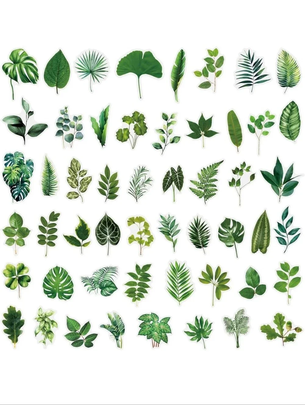 Green Botanical Wall Decals - Lush Leaf Home Wall Decor